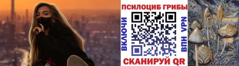 дарк нет Telegram  Уржум  Галлюциногенные грибы прущие грибы 